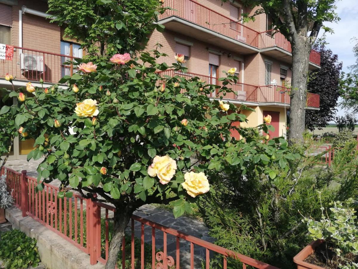 Gold B&B Ravarino Kültér fotó
